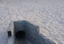 INEMA confirma instalação emergencial de estrutura na Lagoa do Abaeté e reforça compromisso com preservação ambiental  