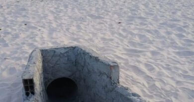 INEMA confirma instalação emergencial de estrutura na Lagoa do Abaeté e reforça compromisso com preservação ambiental  