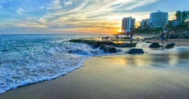 MPF instaura inquérito para apurar destruição irregular de vegetação na Praia do Buracão, em Salvador