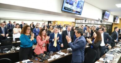 Com relatoria de conselheira baiana, OAB aprova ingresso como amicus curiae em ação contra violência doméstica