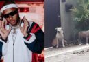 Justiça mantém condenação do rapper Orochi em caso envolvendo cachorros do artista