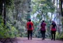 A Arte de Caminhar: Descobrindo a Cidade a Cada Passo