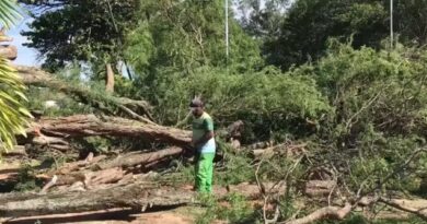 MPF instaura inquérito para apurar contratação emergencial de kits humanitários em Paulo Afonso