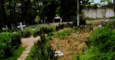 Cemitério de pets em Campinas de Pirajá é alvo de denúncia do MP-BA por crimes ambientais e funcionamento irregular