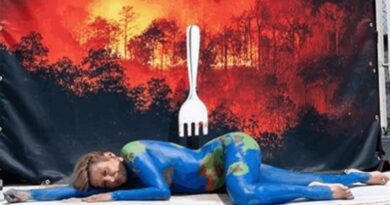 VÍDEO: Luisa Mell pinta o corpo como o planeta Terra em protesto contra consumo de carne na COP30