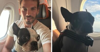 Passageiro denuncia que foi impedido de embarcar com cão de apoio emocional em Salvador mesmo com autorização judicial