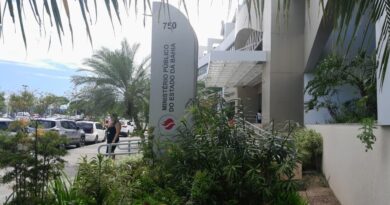 MP-BA emite recomendação urgente contra abate clandestino de animais em Amargosa