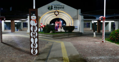 Parque do Abaeté celebra Natal com ornamentação sustentável  