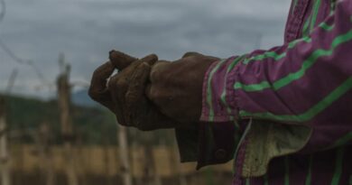 Justiça condena família a pagar R$ 1,45 milhão por manter trabalhadora doméstica em condições análogas à escravidão por 42 anos