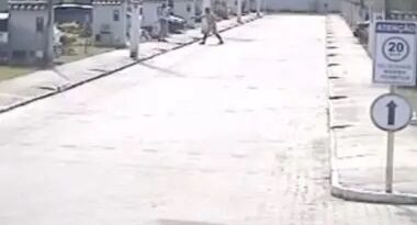 PM que matou cachorro durante discussão com vizinha na Bahia vai a júri popular