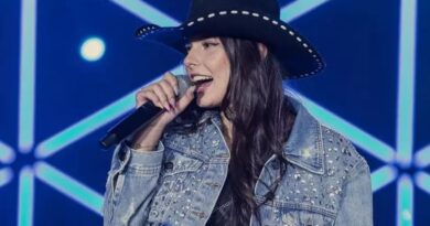 Ana Castela preocupa fãs após adiar show e passar por tratamento médico