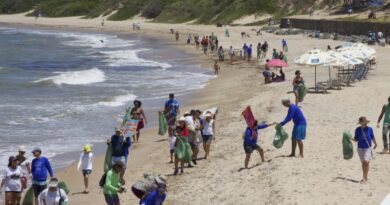 Mutirão de limpeza mobiliza voluntários na Praia de Itapuã neste domingo (15)  