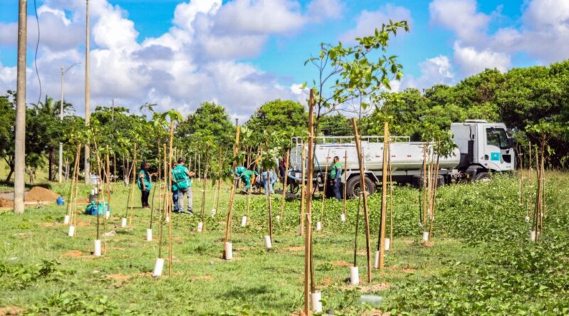 Operação Plantio Chuva