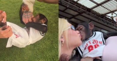 VÍDEO: Virginia Fonseca interage e beija filhote de macaco durante visita a zoológico em Dubai