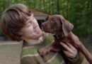 Netflix divulga teaser da nova série live-action de Scooby-Doo