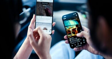 Baixar Instagram Reels em formato MP4 com o Snapgram