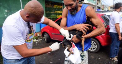 Salvador inicia campanha de vacinação para cães e gatos a partir desta segunda-feira