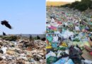 Novo Marco do Saneamento: 388 cidades ainda mantêm lixões a céu aberto na Bahia