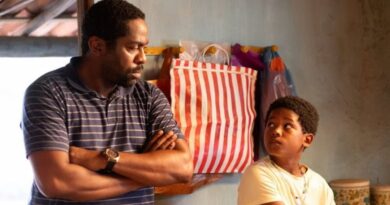 Filmes brasileiros chegam às salas de cinema do país após exibições internacionais