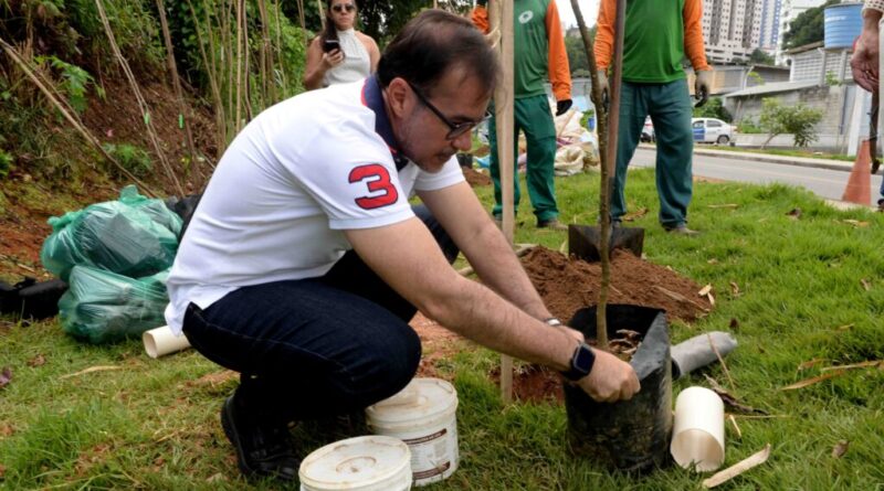 Prefeitura amplia arborização com plantio de 30 novas árvores na Vila Laura