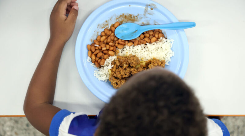 Dia do Nutricionista: profissionais da Prefeitura de Salvador atuam da alimentação escolar à prevenção de doenças