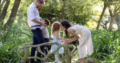 Príncipe Harry e Meghan Markle retornam ao Reino Unido após rompimento com a realeza