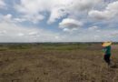 Com foco no semiárido, Bahia envia plano contra o El Niño e se destaca frente a quase metade dos estados; entenda