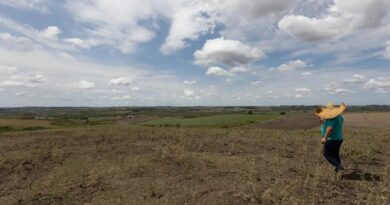 Com foco no semiárido, Bahia envia plano contra o El Niño e se destaca frente a quase metade dos estados; entenda