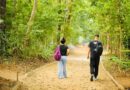 Pipoca do Mudei de Nome leva música e folia ao Parque dos Ventos neste domingo (20)